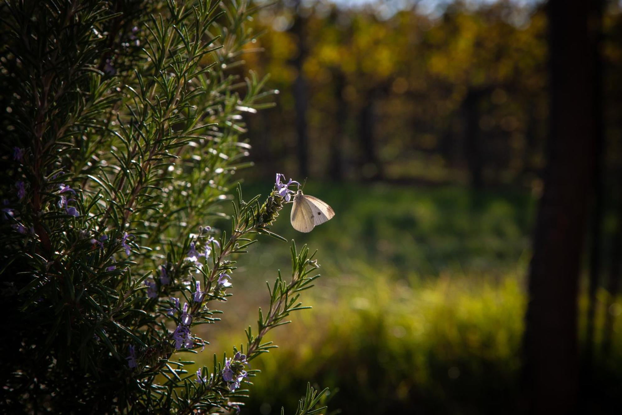 Le Stanze Di Bacco Villa Monteveglio Buitenkant foto