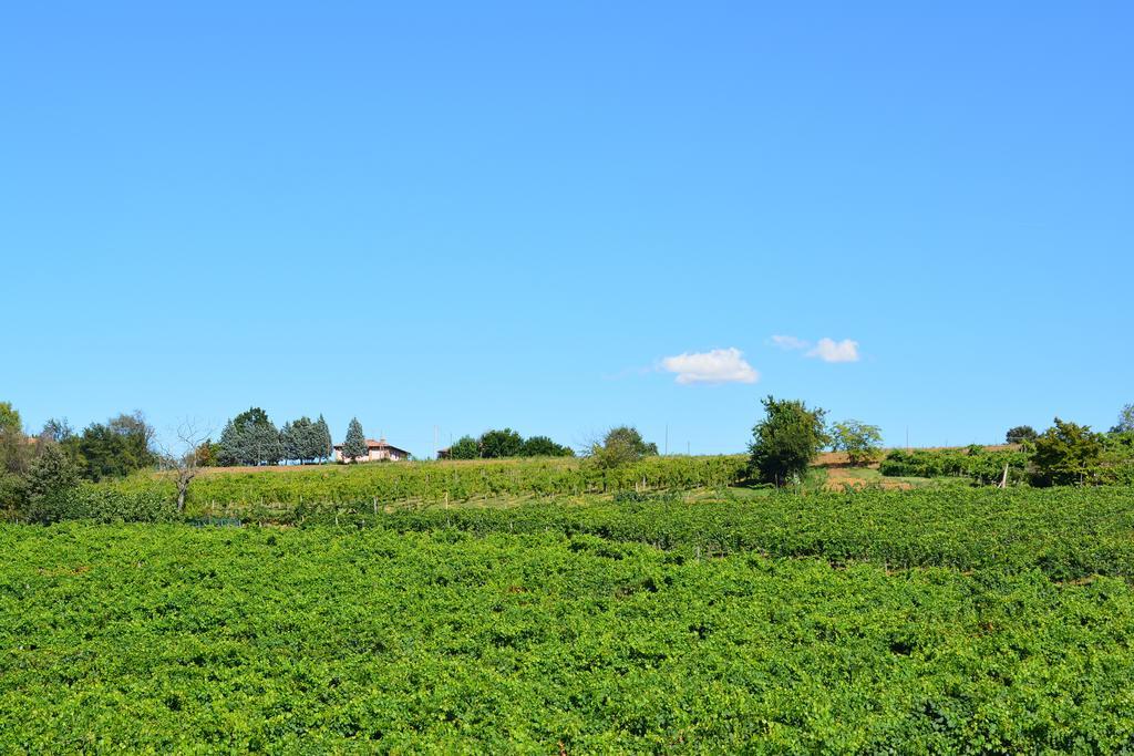 Le Stanze Di Bacco Villa Monteveglio Buitenkant foto