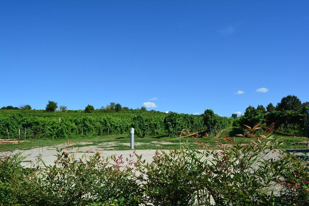 Le Stanze Di Bacco Villa Monteveglio Buitenkant foto