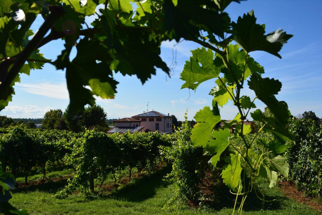 Le Stanze Di Bacco Villa Monteveglio Buitenkant foto