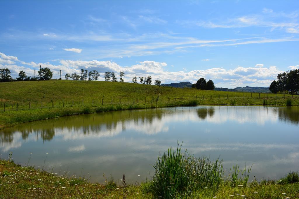 Le Stanze Di Bacco Villa Monteveglio Buitenkant foto