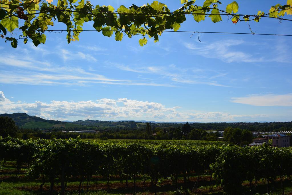 Le Stanze Di Bacco Villa Monteveglio Buitenkant foto