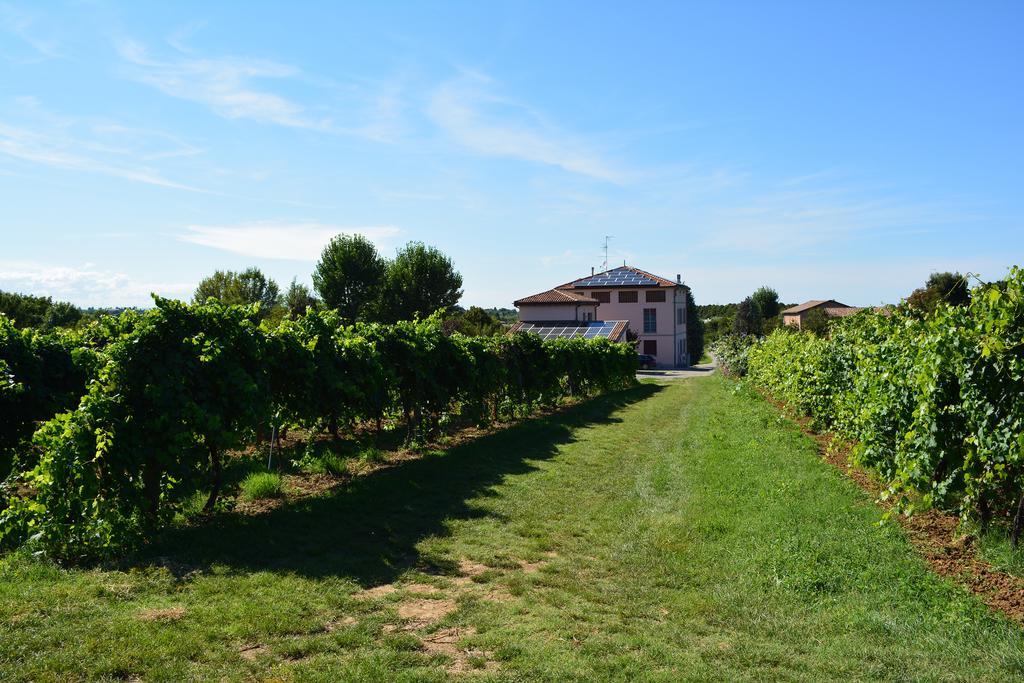 Le Stanze Di Bacco Villa Monteveglio Buitenkant foto